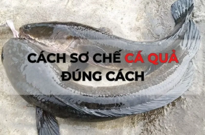 Sơ chế cá kỹ với muối, chanh hoặc giấm giúp món cá quả kho tộ thơm ngon, không bị tanh